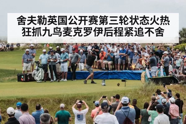 Rory McIlroy golf
